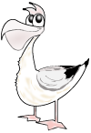 Pelican
